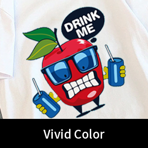 A4 / A3 DTF-printerfilm koud afschilpen 75U dikte PET-vrijstellingsfilm Niet-klevend 2