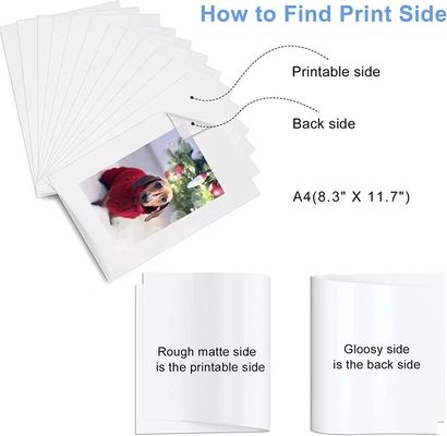 Zoek het perfecte matte DTF-afdrukmateriaal 30cm 60cm Dtf Transfer Pet Film Roll Paper Single Film Roll Dtf Pet Film