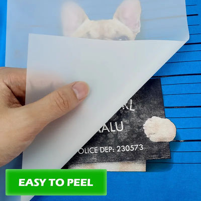 Maximaliseer uw drukpotentieel met DTF-drukmaterialen 30cm*100m 75U Release Pet Film Roll Dubbelzijdige koude peeling
