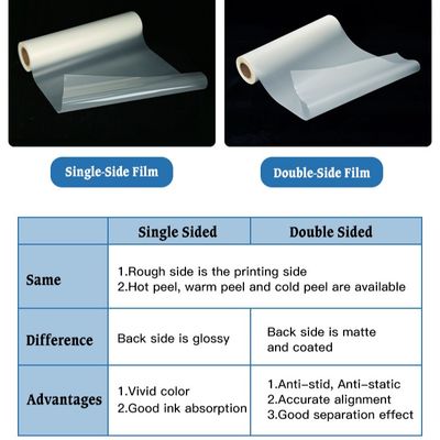 Dubbele enkelzijdige DTF-film voor huisdieren 30CM 33CM 60CM 60CM*100M Roll Heat Transfer 75Micron Warm Cold Peel