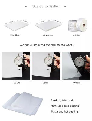 75 Mic Matte Polyester Release Film 48*64cm Offset Printing Film Voor Kleding