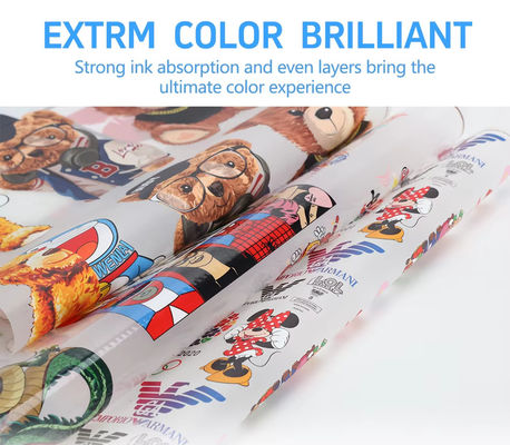 30cm*100M warmpeeling enkelvoudige dubbelzijdige rol DTF-transferfilm voor DTF-inktjetprinter